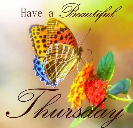 have a beautiful thursday