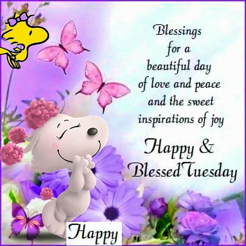 have a lovely tuesday