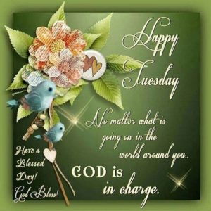 Wishes happy tuesday to friends and family 2023