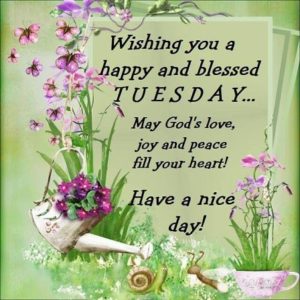 Happy tuesday my friend images