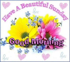 Happy sunday to all my friends and family